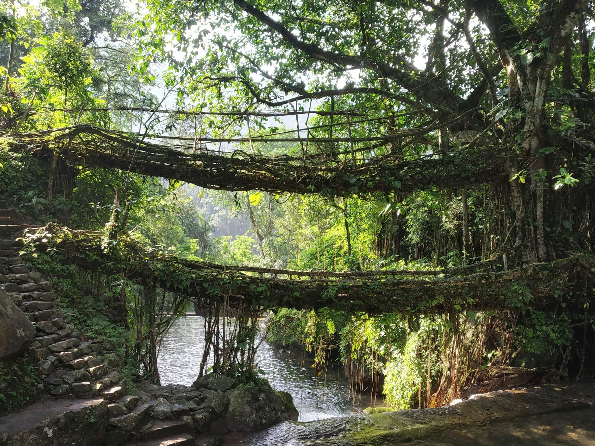 15 Best Things to Do in Meghalaya