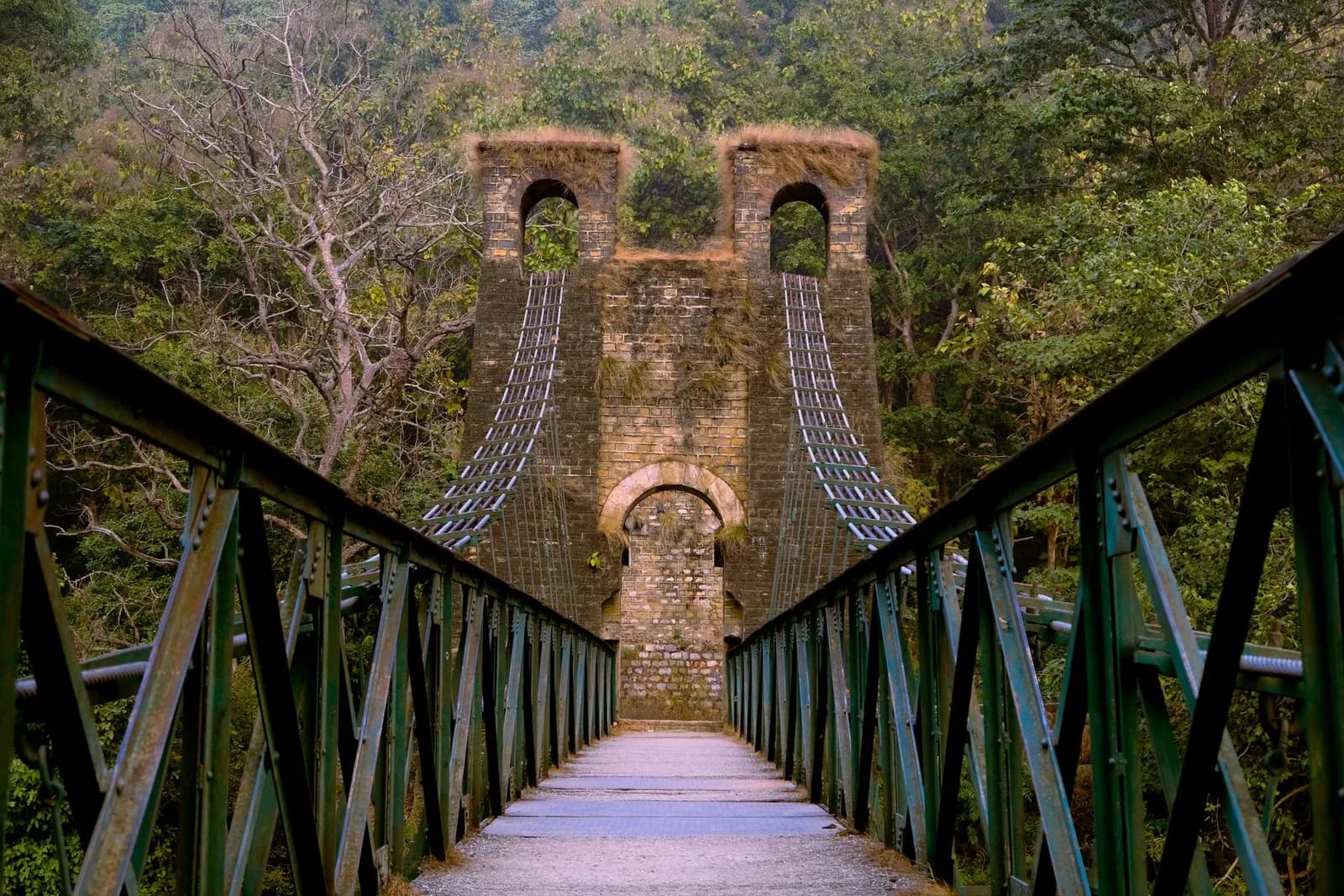 Mussoorie & Rishikesh Explorer