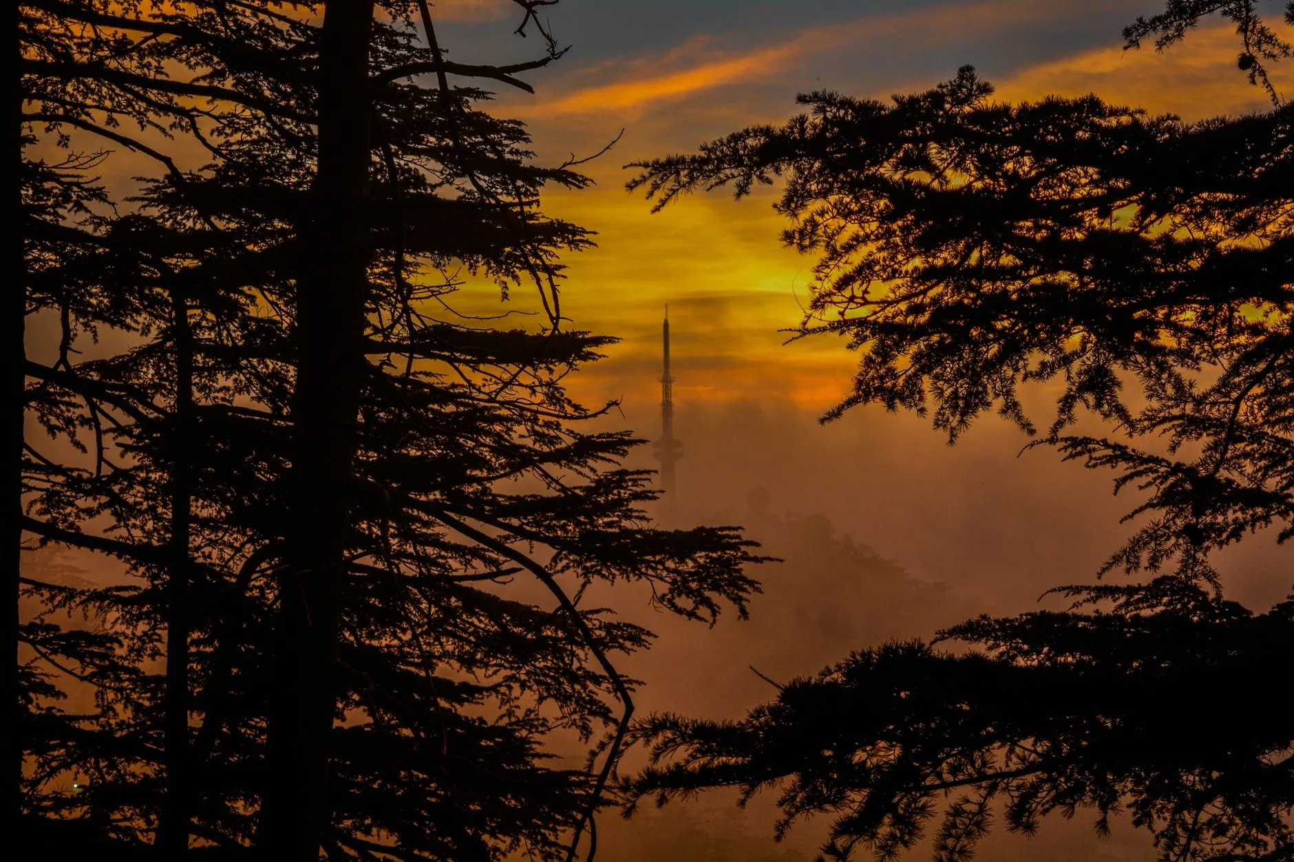 Things to Do in Himachal Pradesh: Top Experiences