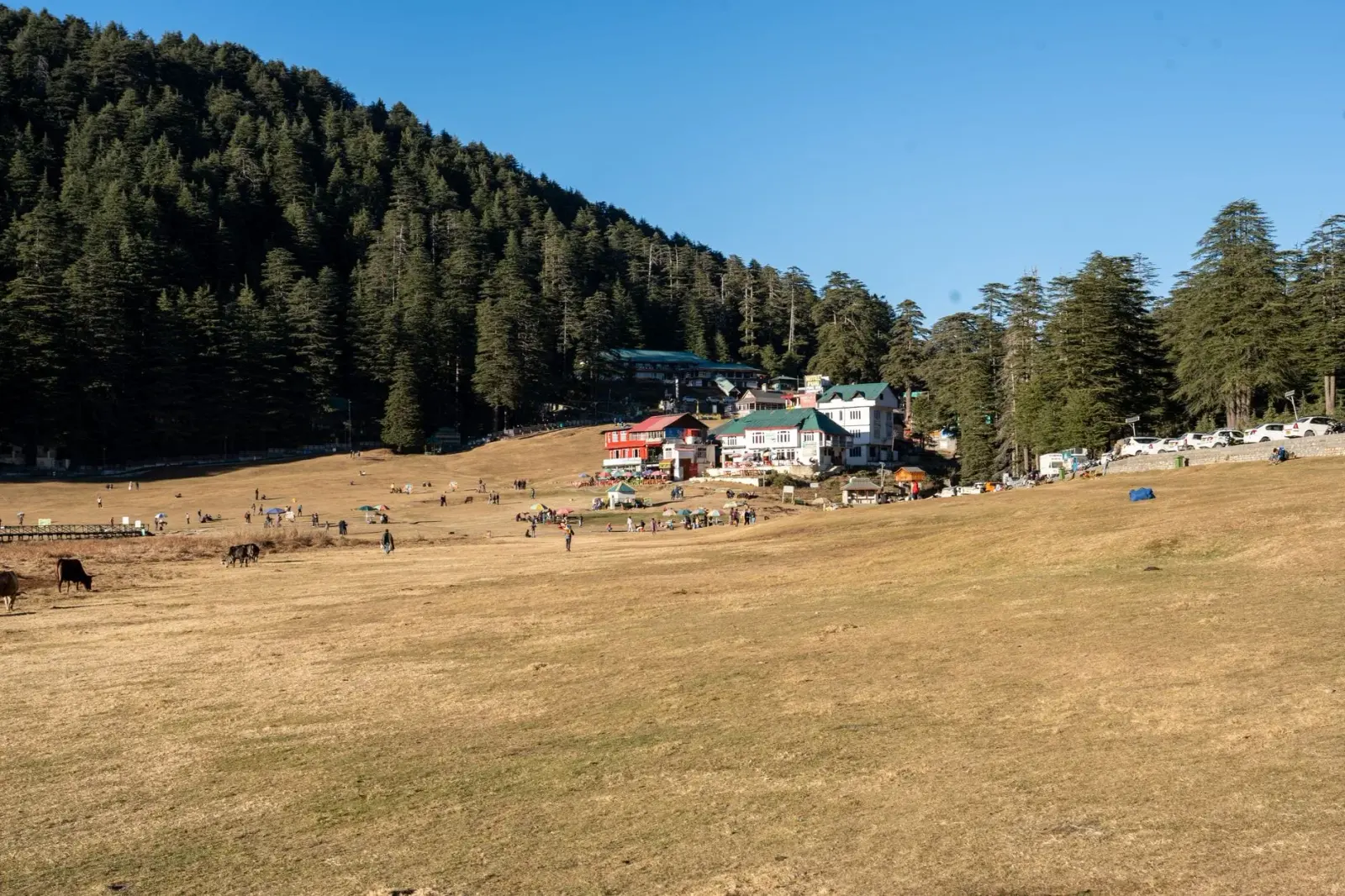 Himachal in Winter: Snow, Skiing & Where to Go