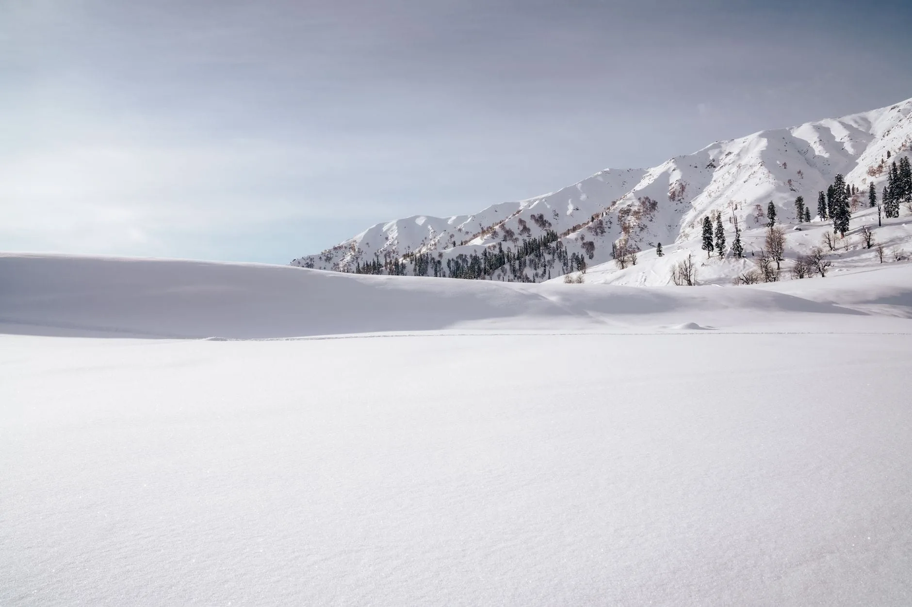 Kashmir Honeymoon Guide: Houseboats, Gulmarg & Pahalgam