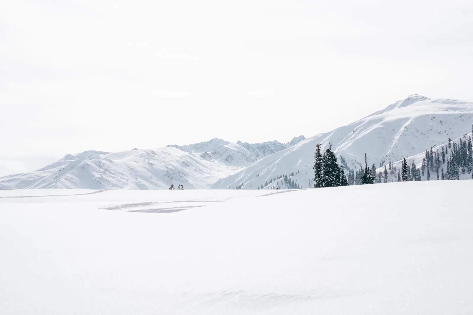 Premium Kashmir Honeymoon