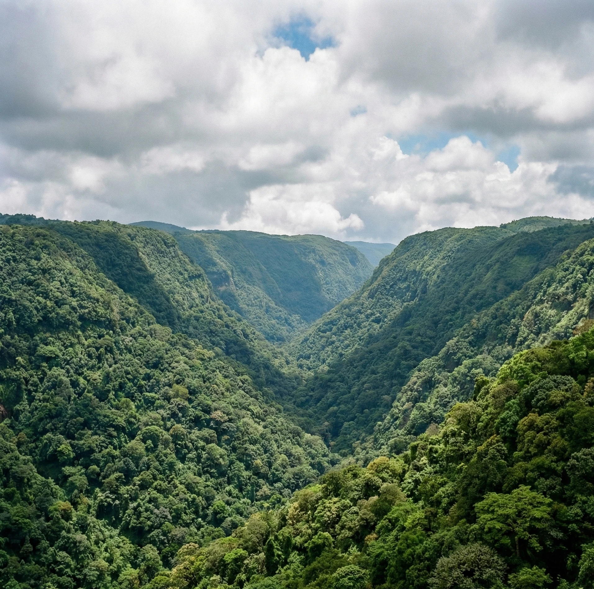 Mawkdok Dympep Valley View Point