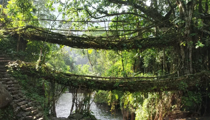 Double_Decker_Bridge